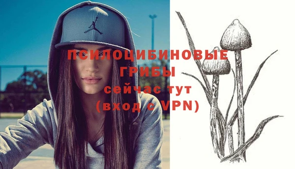 не бодяженный Баксан